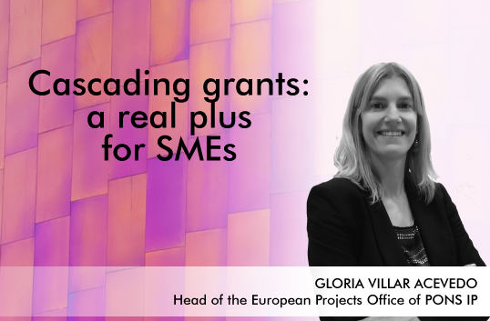 Cascading grants: a real plus for SMEs